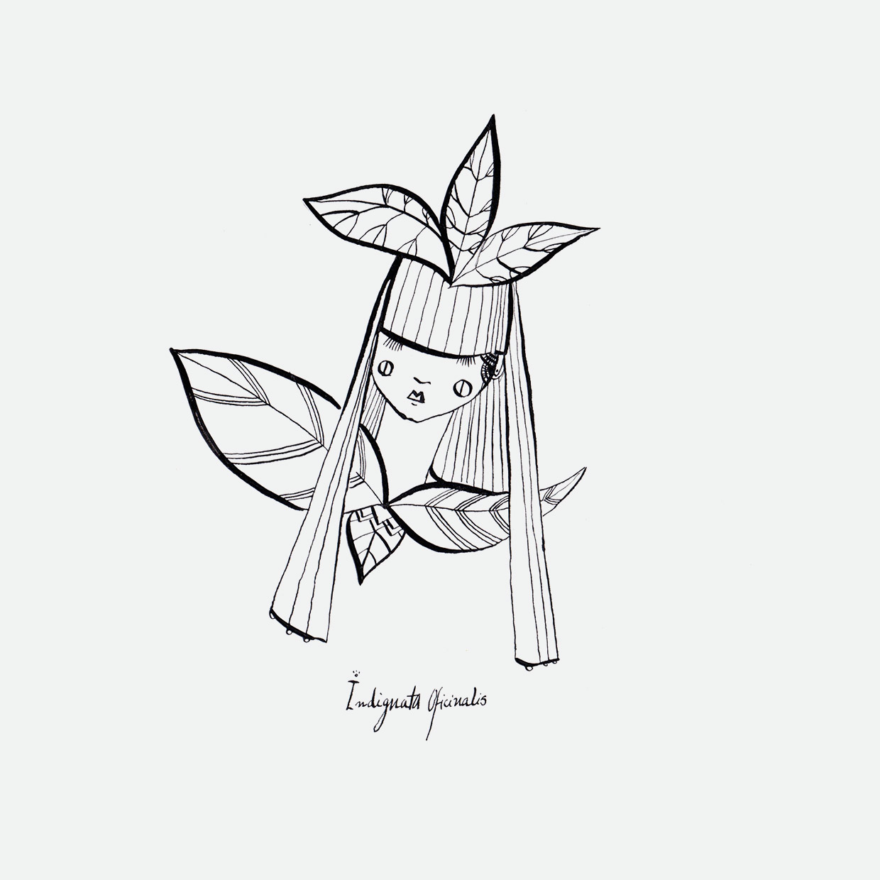 Indignatus Of icinalis